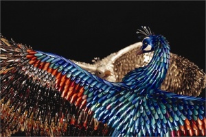 nail-tip-skulpture-peacock2
